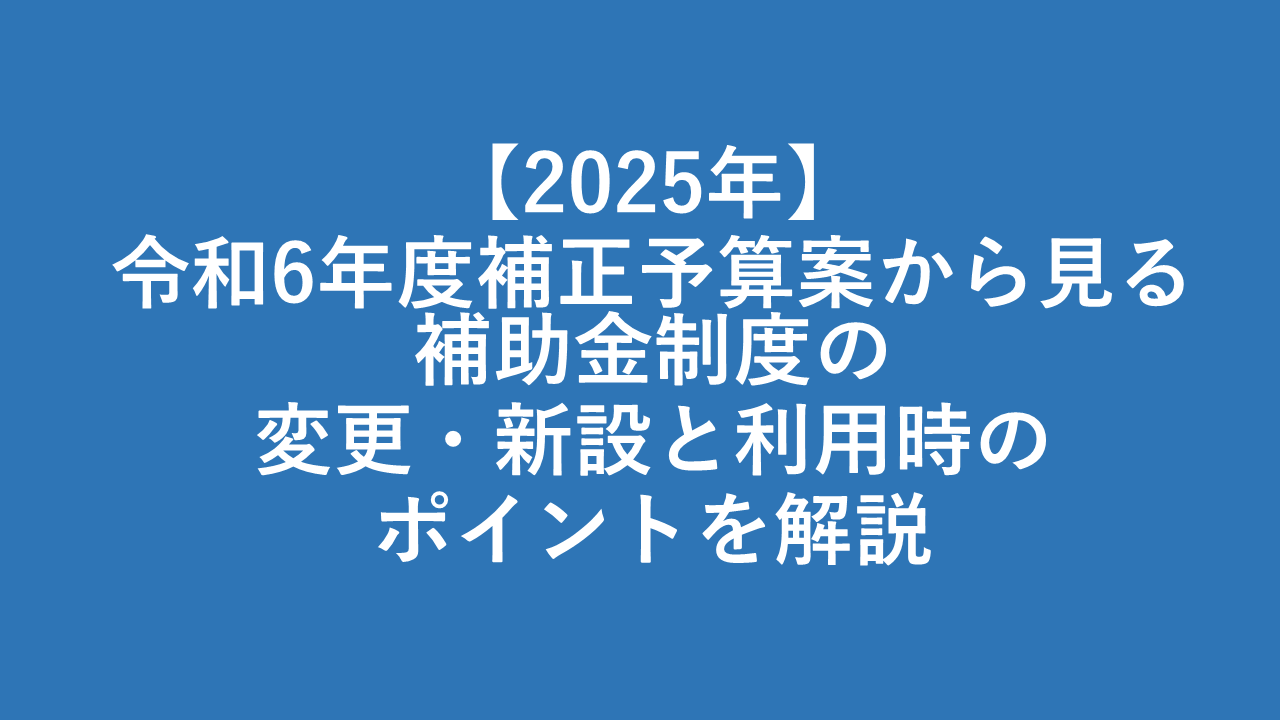 【2025年】令和6年度補正予算案から見る補助金制度の変更・新設と利用時のポイントを解説